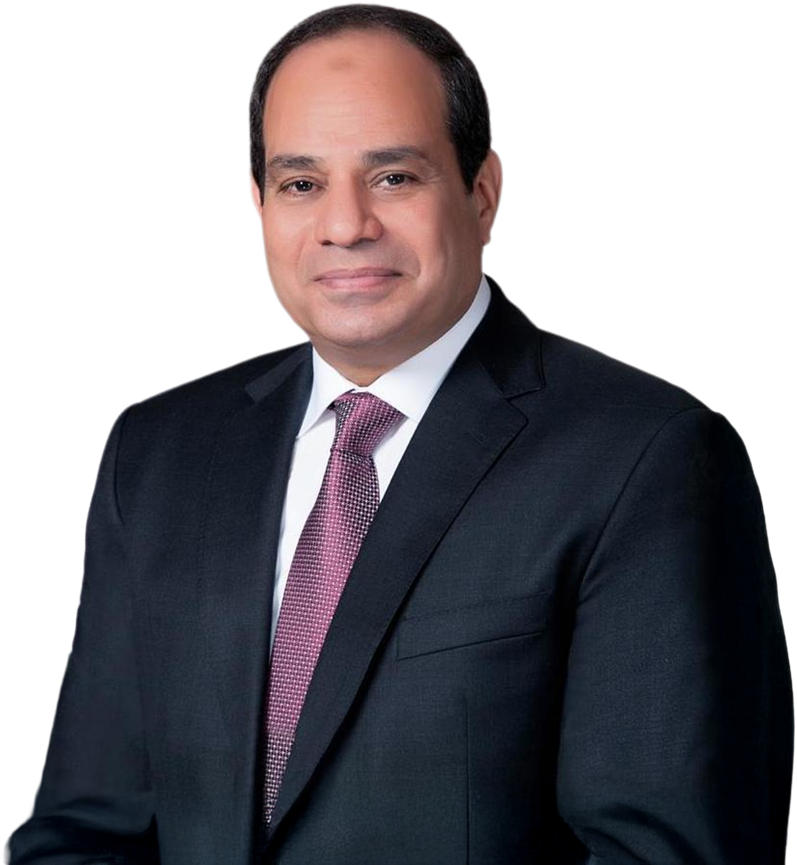 H.E. Abdel Fattah El-Sisi