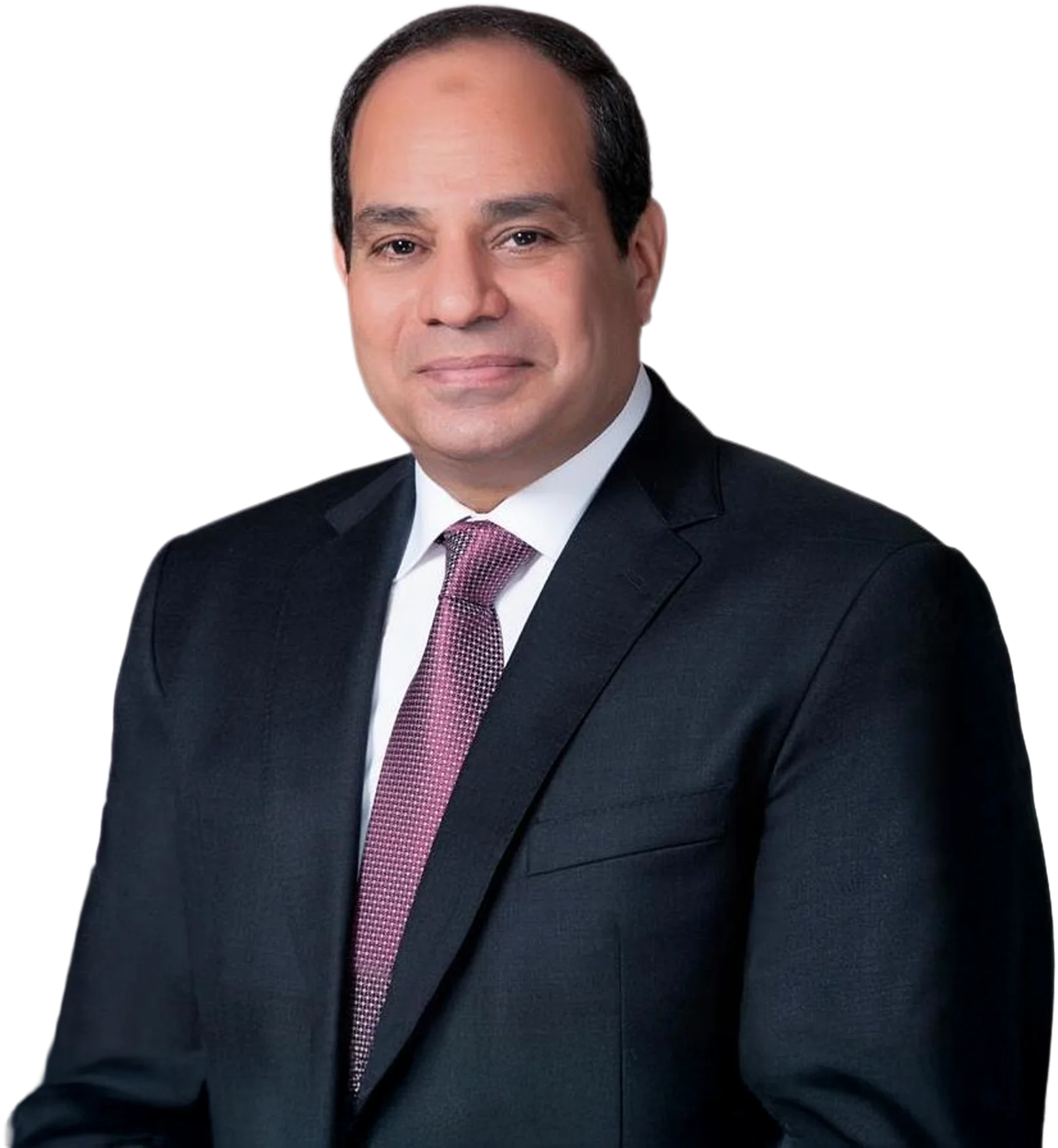 H.E. Abdel Fattah El-Sisi